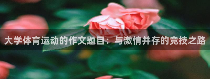大学体育运动的作文题目：与激情并存的竞技之路