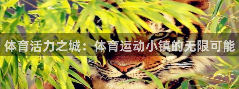 体育活力之城：体育运动小镇的无限可能