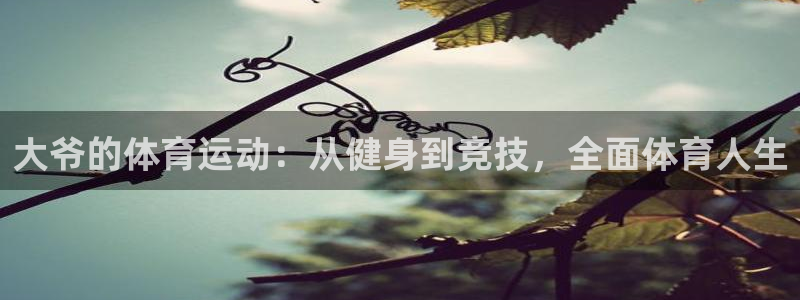 大爷的体育运动：从健身到竞技，全面体育人生