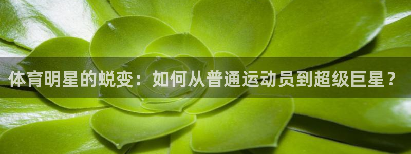 体育明星的蜕变：如何从普通运动员到超级巨星？