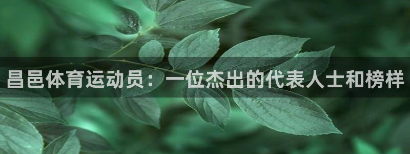 昌邑体育运动员：一位杰出的代表人士和榜样