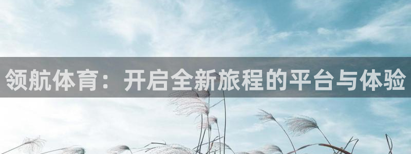 领航体育：开启全新旅程的平台与体验