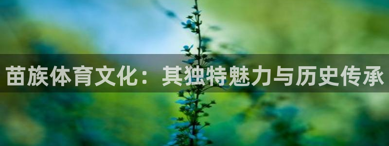 苗族体育文化：其独特魅力与历史传承