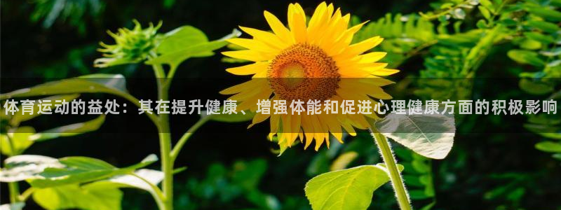 体育运动的益处：其在提升健康、增强体能和促进心理健康方面的积极影响