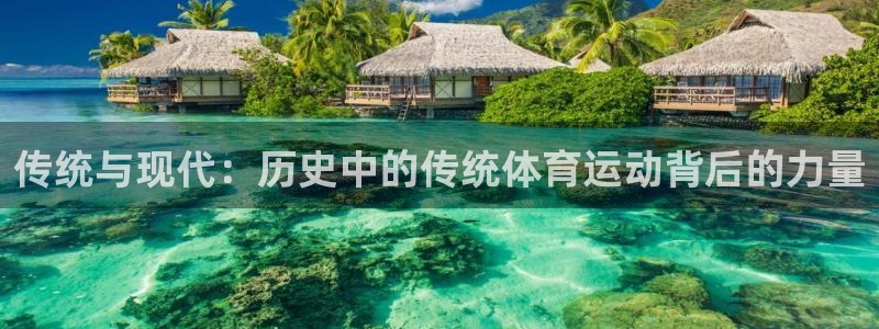传统与现代：历史中的传统体育运动背后的力量