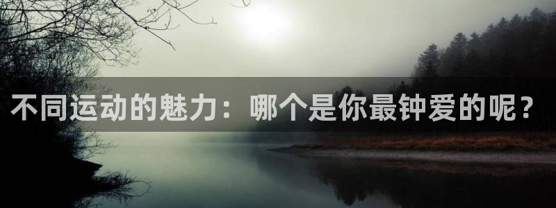 不同运动的魅力：哪个是你最钟爱的呢？