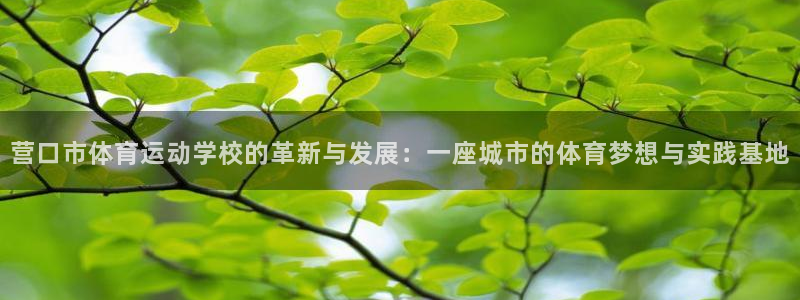 营口市体育运动学校的革新与发展：一座城市的体育梦想与实践基地