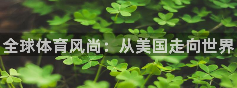 全球体育风尚：从美国走向世界
