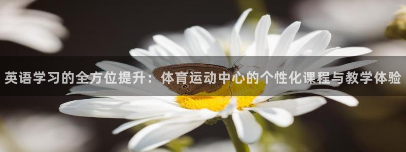 英语学习的全方位提升：体育运动中心的个性化课程与教学体验
