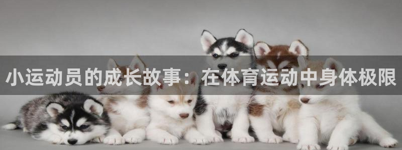 小运动员的成长故事：在体育运动中身体极限