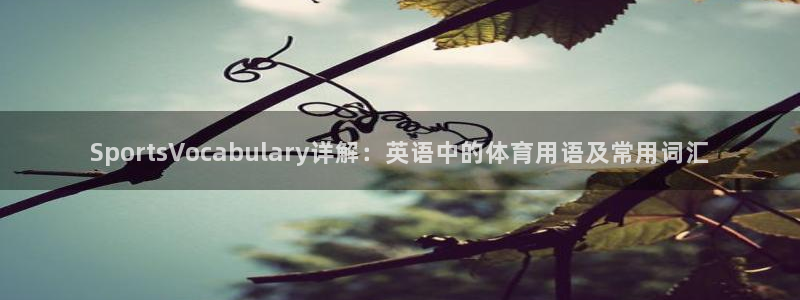 SportsVocabulary详解：英语中的体育用语及常用词汇