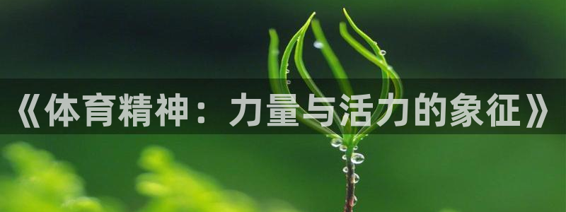《体育精神：力量与活力的象征》